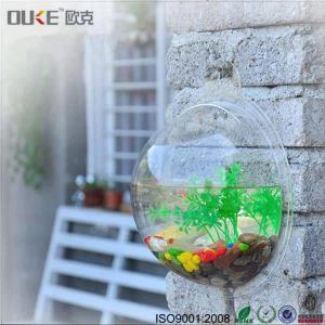 Brand New Wall Mounted Akryl Fish Bowl med lav pris